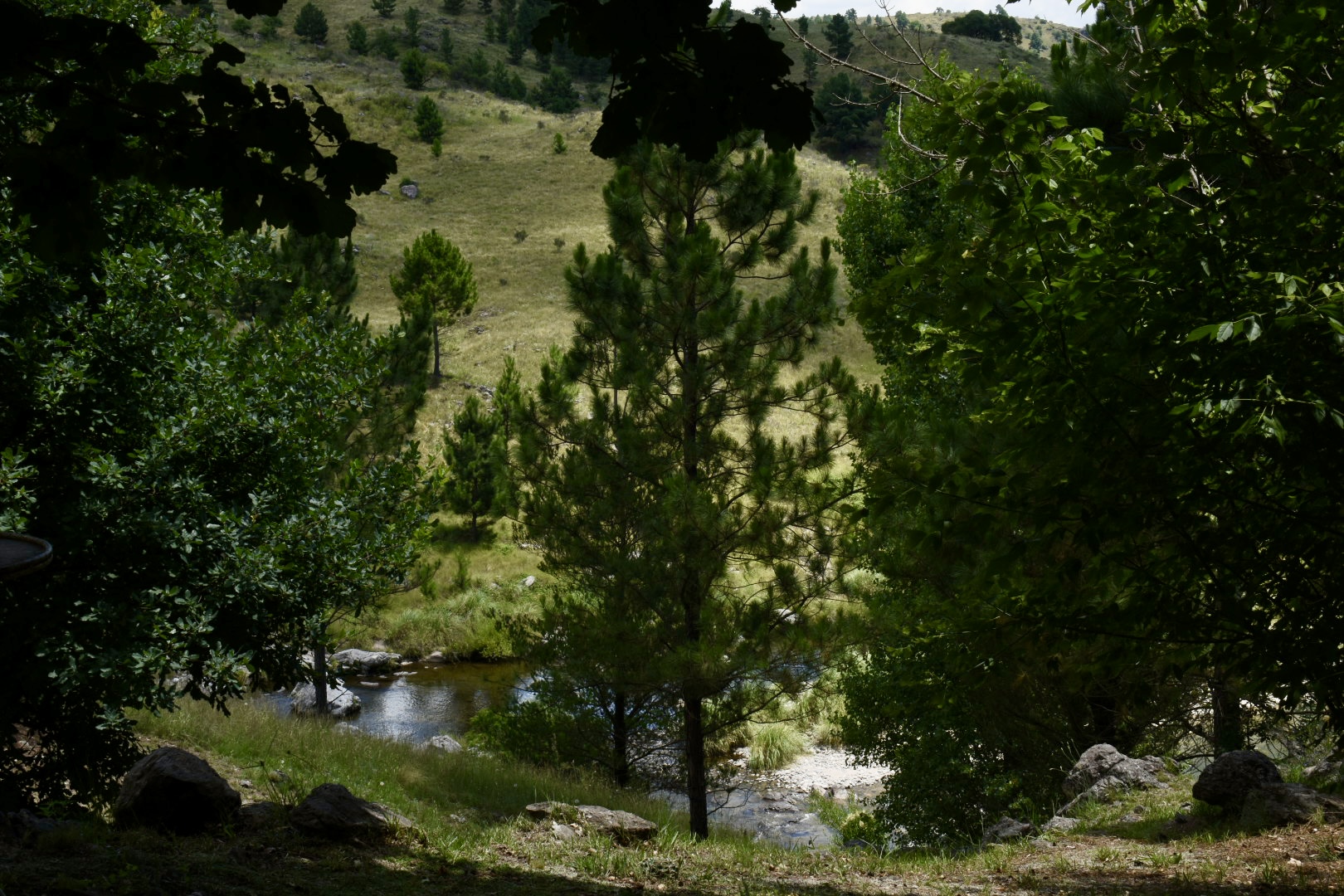 Río serrano en las sierras