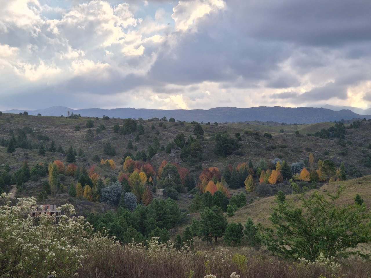 Río El Durazno
